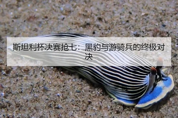 斯坦利杯决赛抢七：黑豹与游骑兵的终极对决