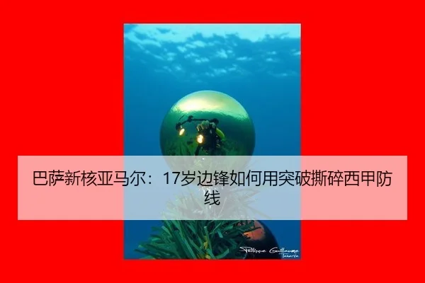 ba-sa-xin-he-ya-ma-er-sui-bian-feng-ru-he-yong-tu-po-si-sui-xi-jia-fang-xian-2-884.jpg