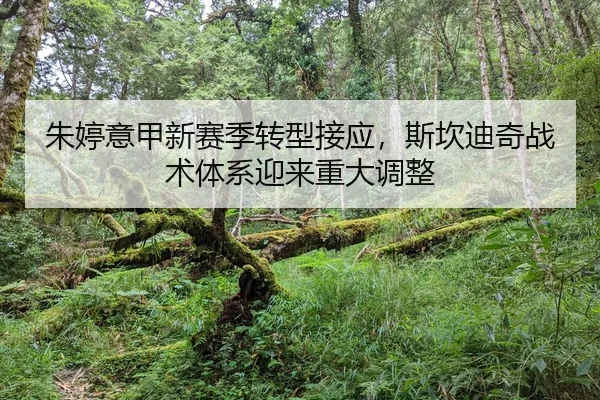 朱婷意甲新赛季转型接应，斯坎迪奇战术体系迎来重大调整