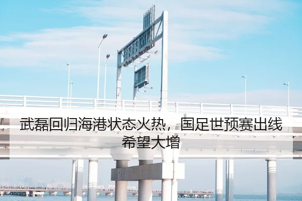 武磊回归海港状态火热，国足世预赛出线希望大增