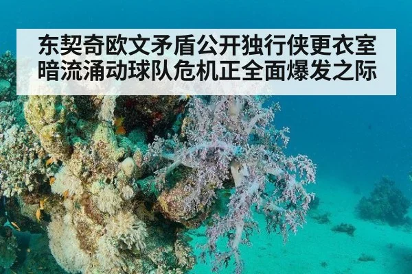 东契奇欧文矛盾公开独行侠更衣室暗流涌动球队危机正全面爆发之际